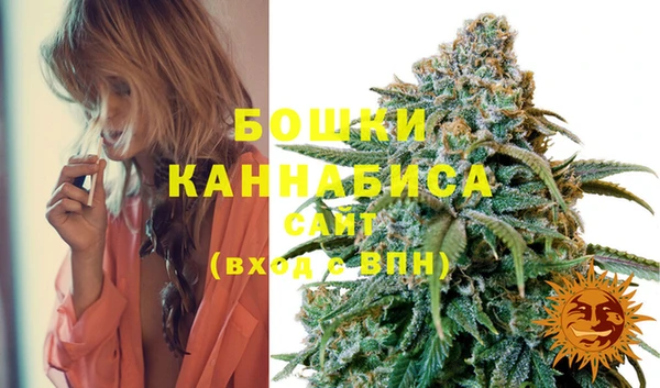 PSILOCYBIN Абаза