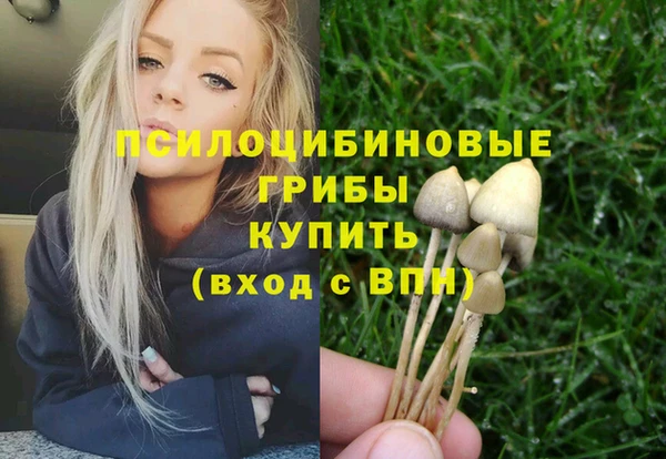 PSILOCYBIN Абаза