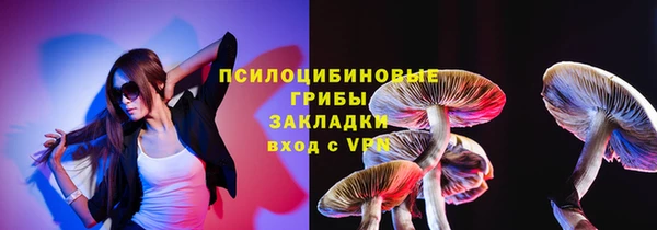 PSILOCYBIN Абаза