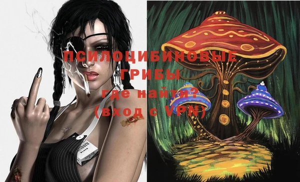 PSILOCYBIN Абаза