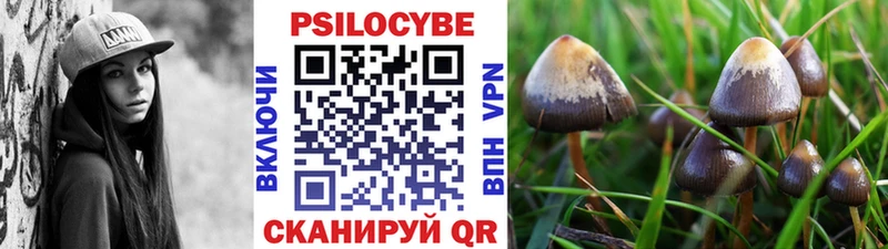 Галлюциногенные грибы мухоморы  купить наркоту  Алагир 