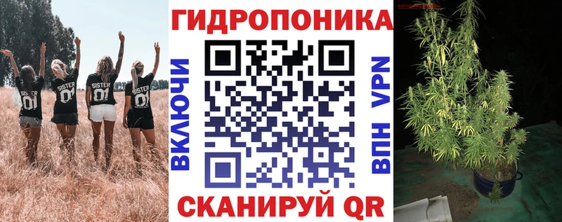 Каннабис VHQ  нарко площадка официальный сайт  Алагир 